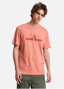 Tee-shirts EV Vista homme rose