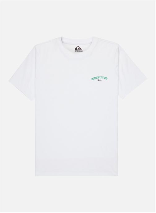 Quiksilver Tee-shirts Urban Nomad garçon blanc