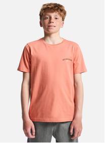 Tee-shirts Urban Nomad garçon blanc