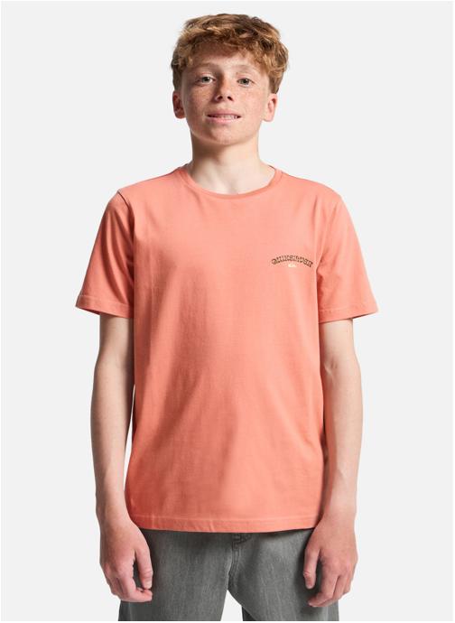 Quiksilver Tee-shirts Urban Nomad garçon rose