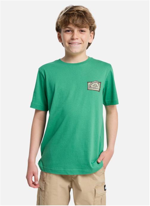 Quiksilver Tee-shirts Heritage garçon vert