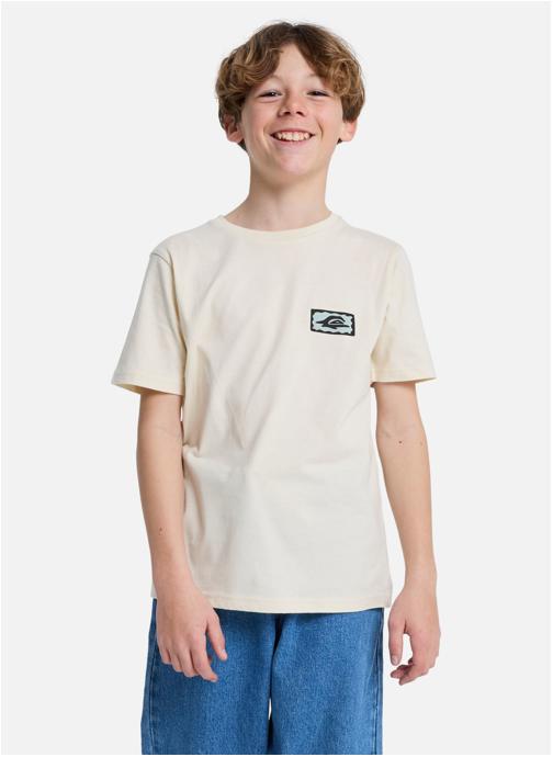 Quiksilver Tee-shirts Serenity Splash garçon beige