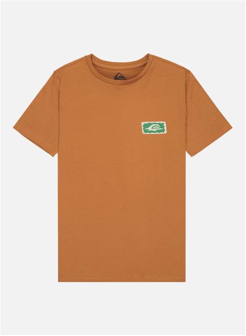 Quiksilver Tee-shirts Serenity Splash garçon marron