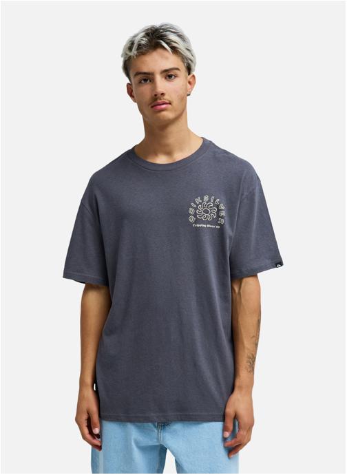 Quiksilver Tee-shirts Curve Palm homme gris