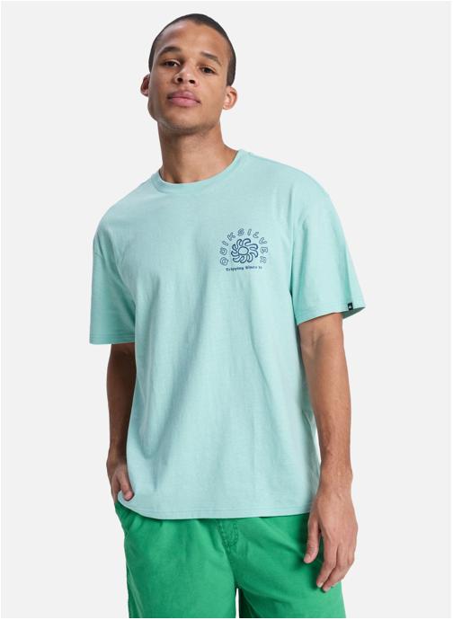 Quiksilver Tee-shirts Curve Palm homme bleu
