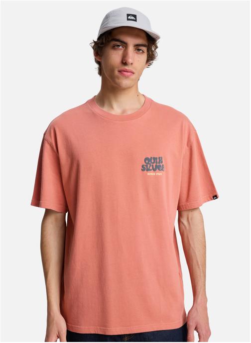 Quiksilver Tee-shirts Fruits Tide homme rose