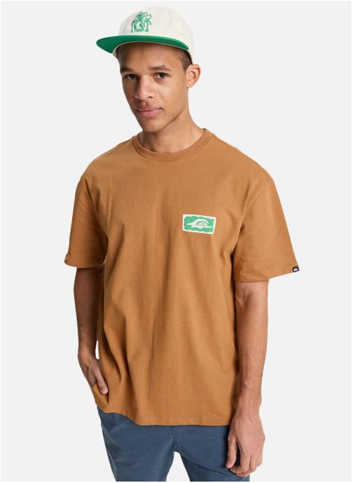 Quiksilver Tee-shirts Serenity Splash homme marron