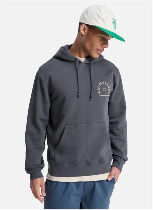 Quiksilver Sweats à capuche Salt Water Graphic homme gris