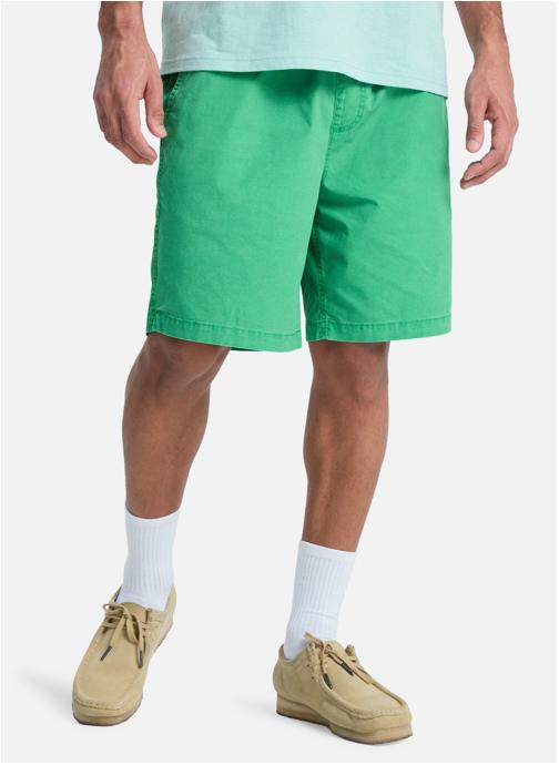 Quiksilver Shorts Taxer 19 homme vert