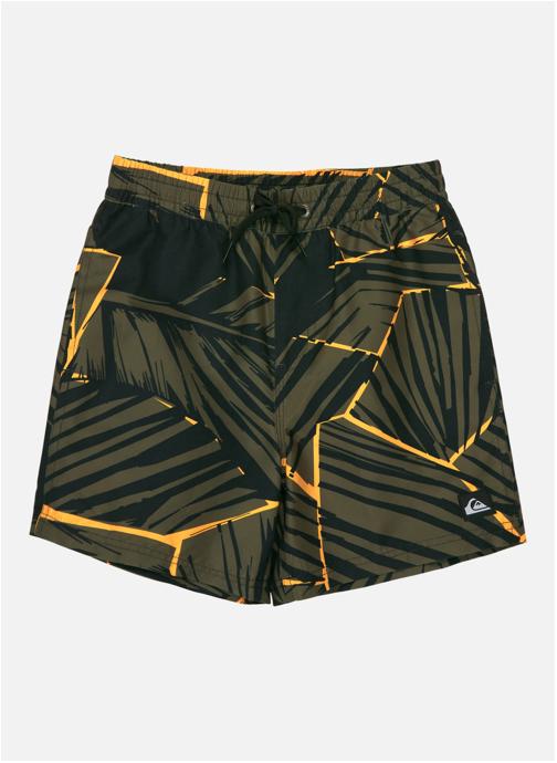 Quiksilver Shorts Everyday Printed Volley 14 garçon vert