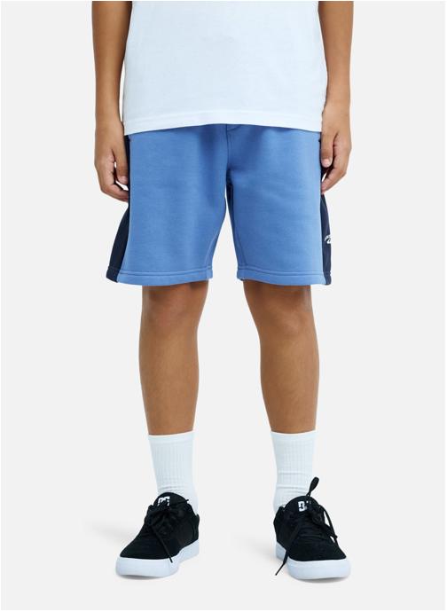 Quiksilver Shorts Knowledge Area garçon bleu
