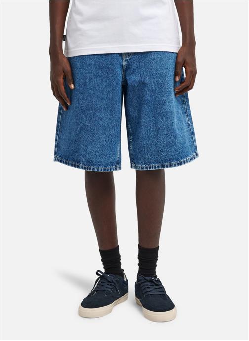 Element Shorts Big 5 homme bleu