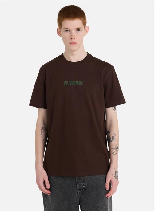 Element Tee-shirts Swamps homme marron