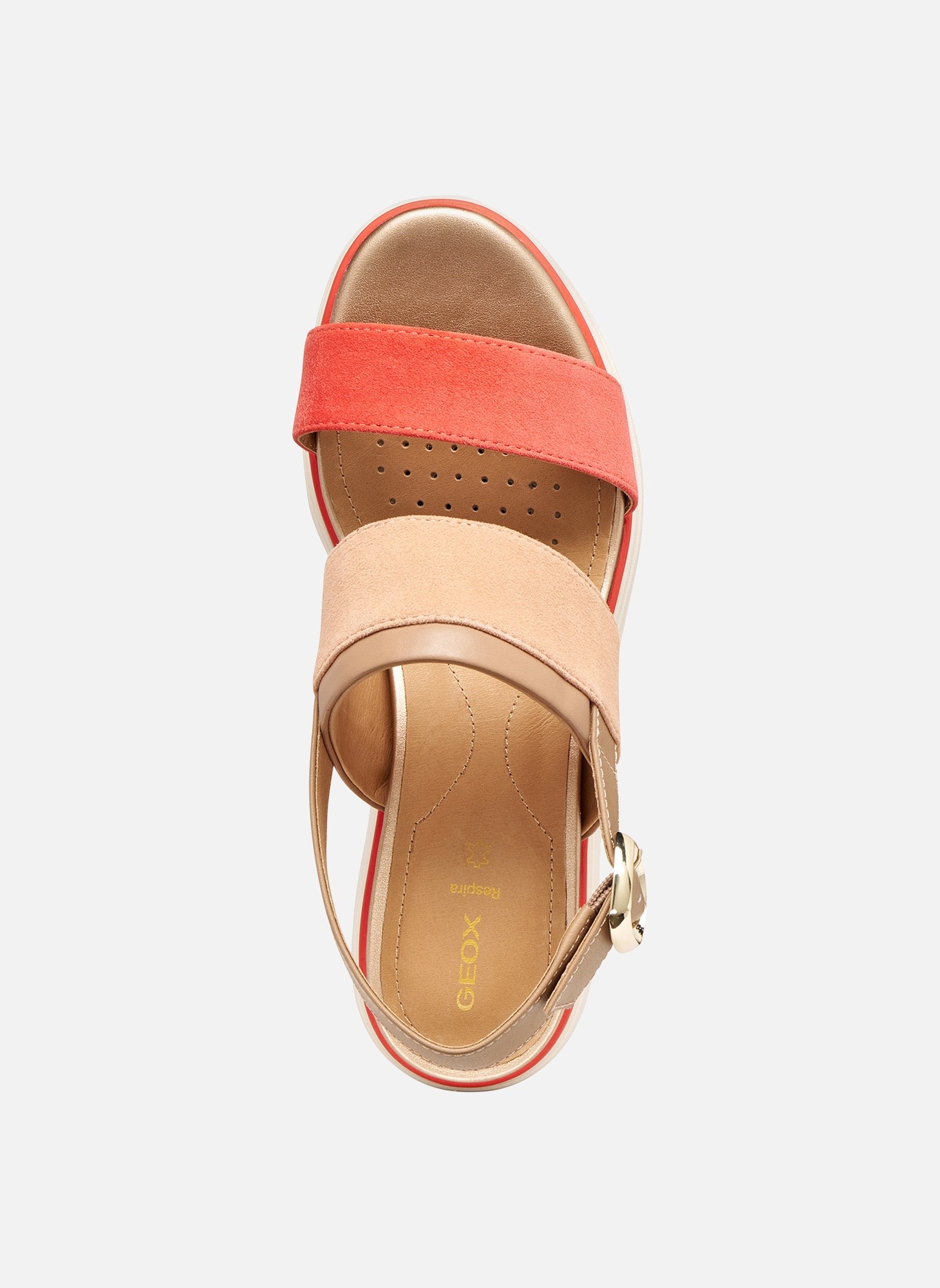Sandales D GARDENIA femme multicolore Geox Sandales D GARDENIA femme multicolore Multicouleur