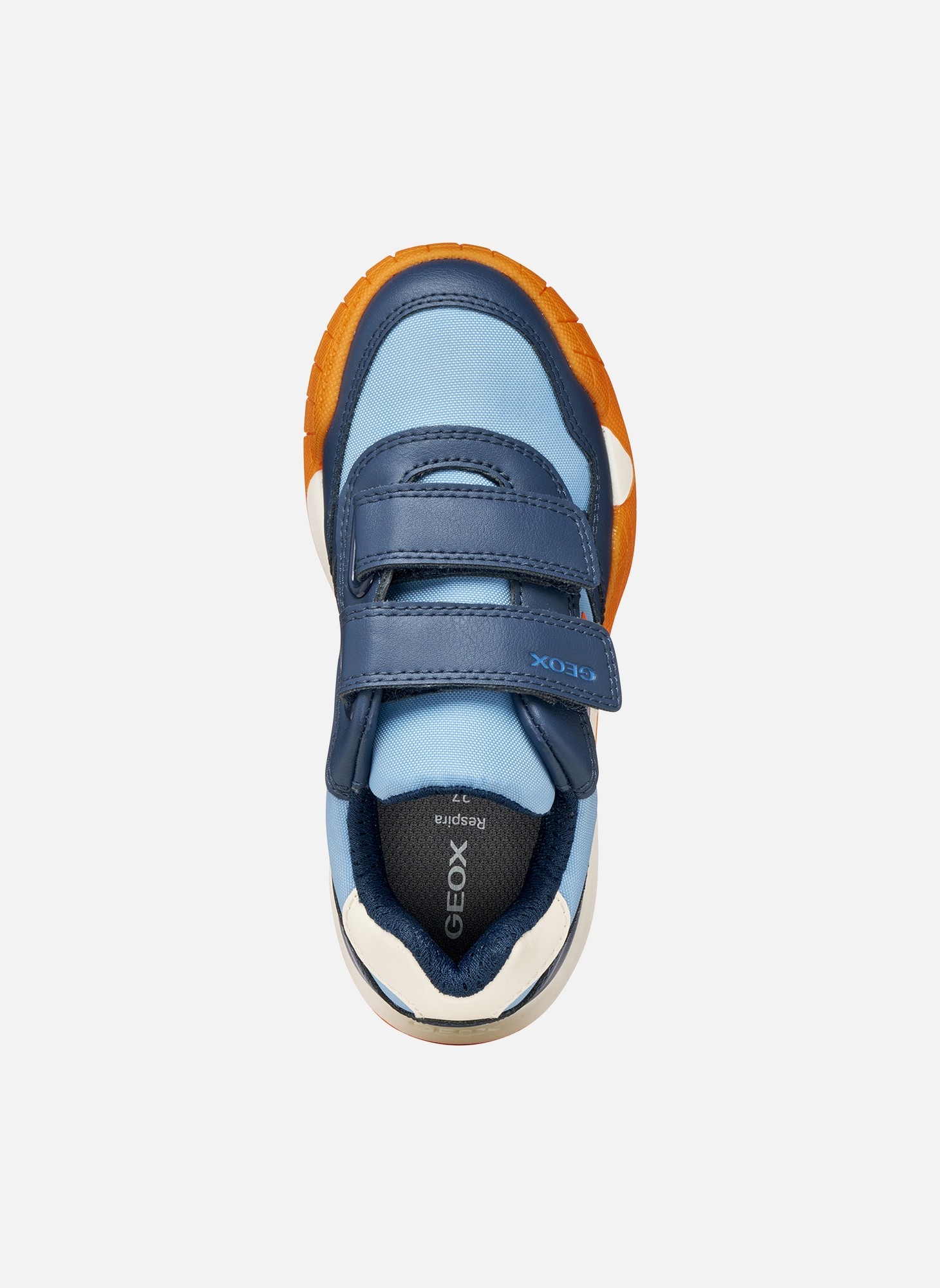 Baskets basses RANN-E BOY garçon bleu Geox Baskets basses RANN-E BOY garçon bleu Bleu
