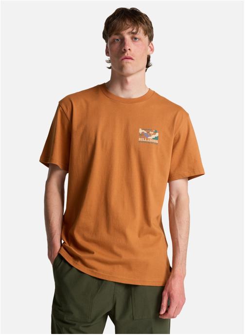 Billabong Tee-shirts Range homme marron