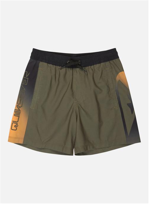 Quiksilver Shorts Everyday Holmes Volley 16 garçon vert