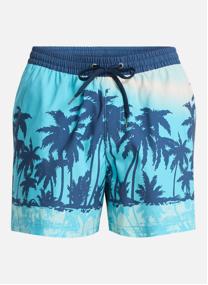 Shorts de bain Everyday Printed Volley 15 homme marron