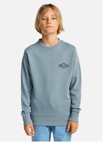 Sweats à capuche Foundation garçon gris