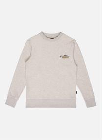 Sweats à capuche Foundation garçon gris Billabong Sweats à capuche Foundation garçon gris Gris