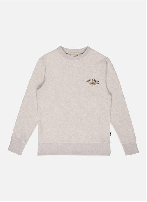 Billabong Sweats à capuche Foundation garçon gris