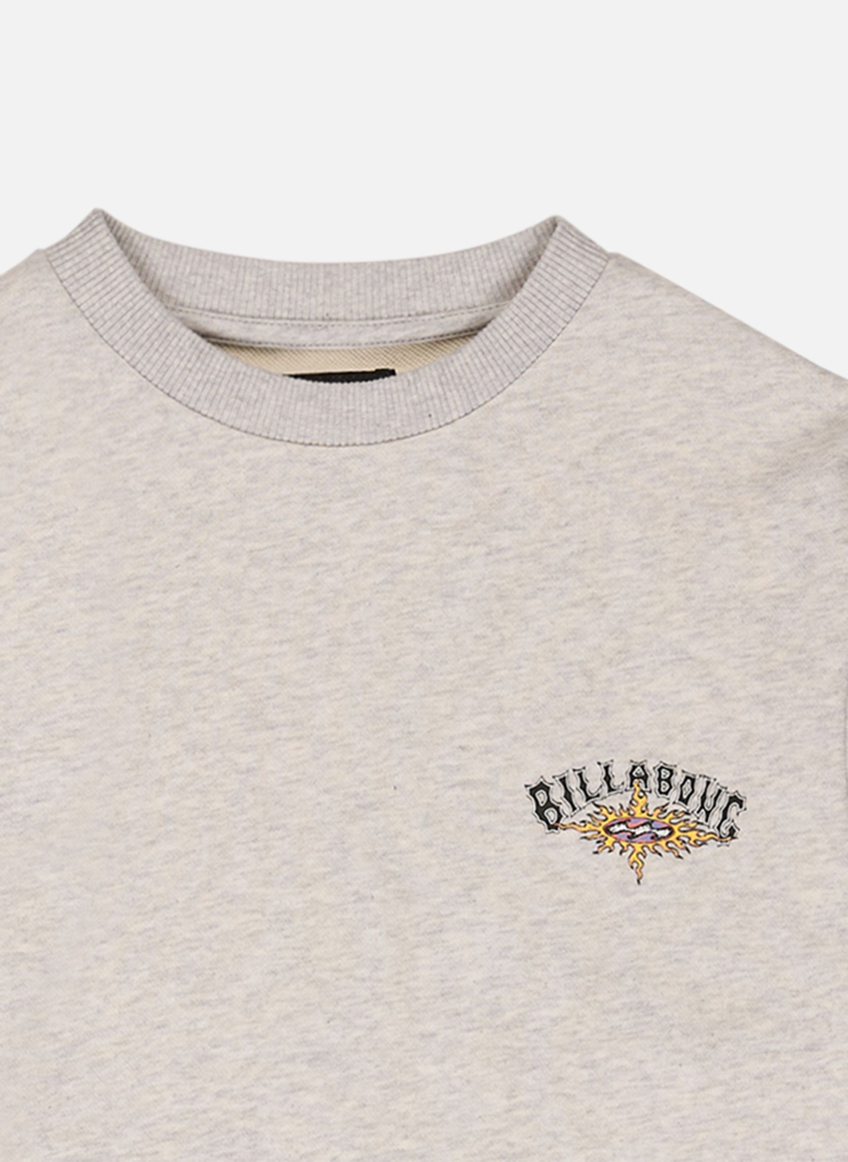 Sweats à capuche Foundation garçon gris Billabong Sweats à capuche Foundation garçon gris Gris
