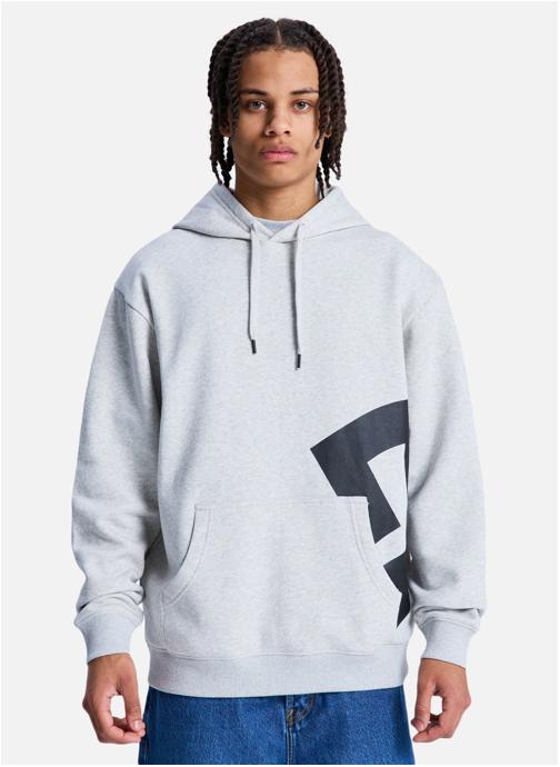 DC Shoes Sweats à capuche Lanai homme gris