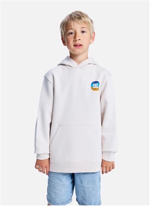 DC Shoes Sweats à capuche Shape Or Destroy garçon beige