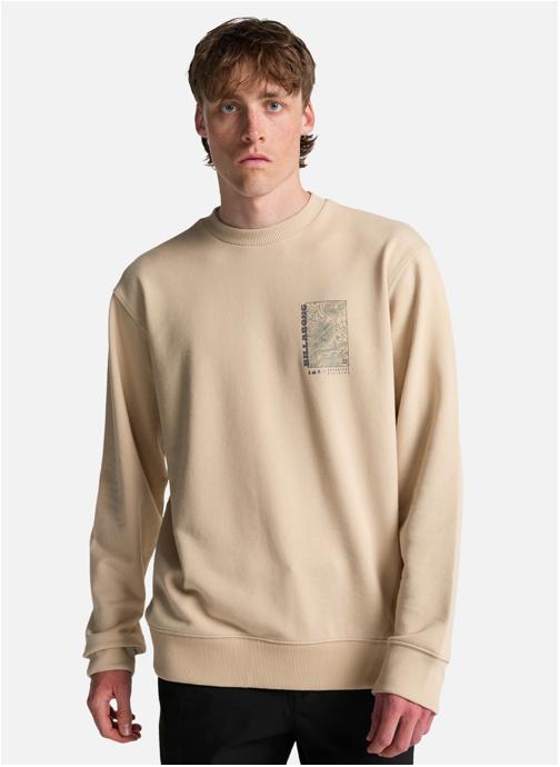 Billabong Sweats à capuche Compass homme beige