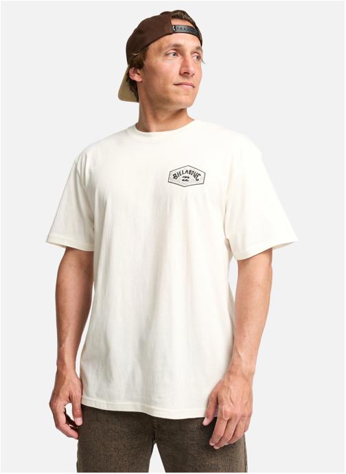 Billabong Tee-shirts Scenic Arch A/DIV Premium homme blanc