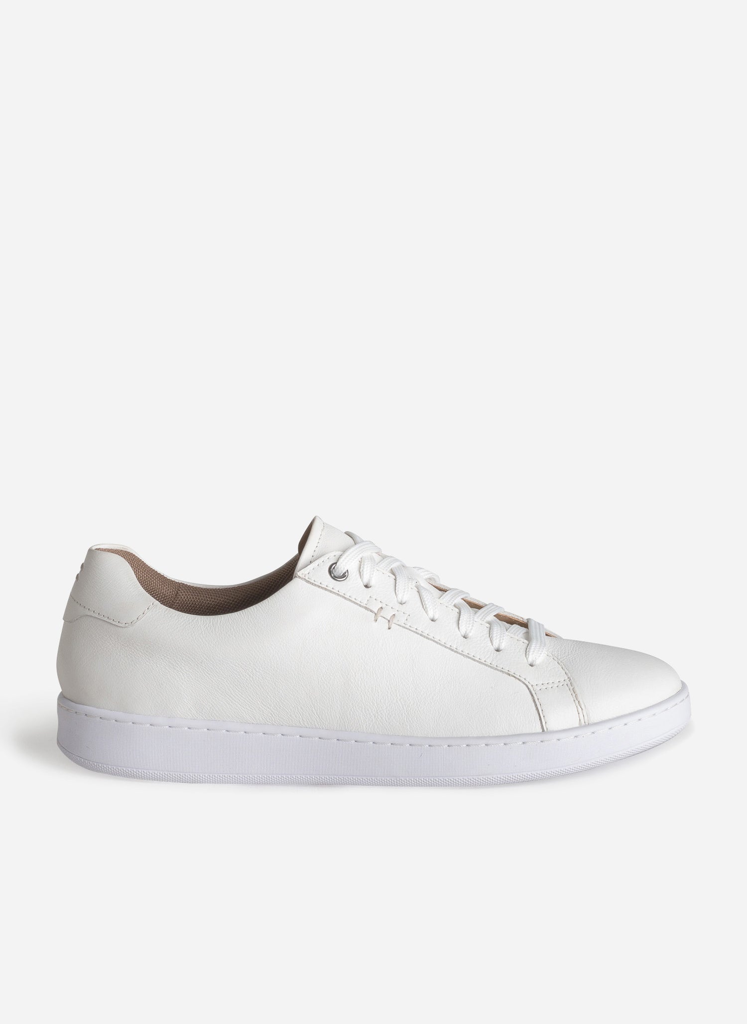 Baskets basses PEETER homme blanc Eram Baskets basses PEETER homme blanc Blanc