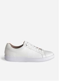 Baskets basses PEETER homme blanc Eram Baskets basses PEETER homme blanc Blanc