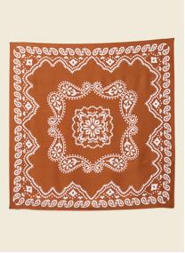 Foulards FOUSATIBICOF femme marron