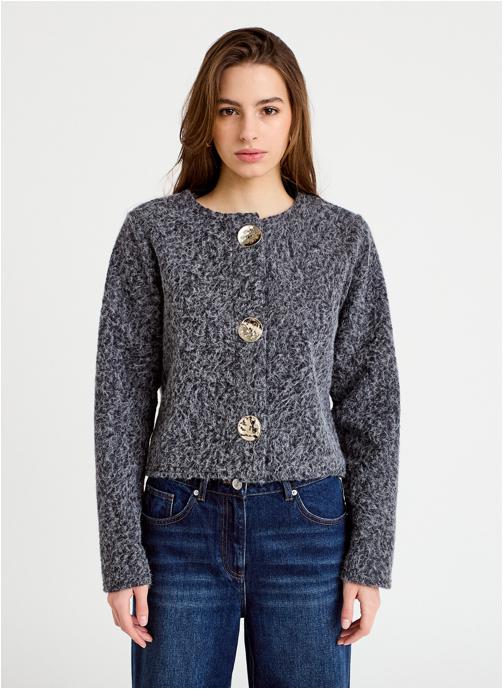 Cache Cache Vestes LVESTSHERP femme gris