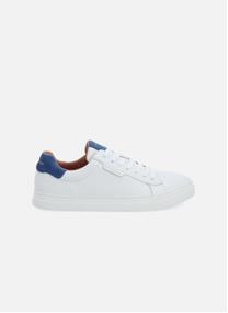 Baskets basses Sneakers SPARKLE SNEAKER M homme blanc Schmoove Baskets basses Sneakers SPARKLE SNEAKER M homme blanc Blanc