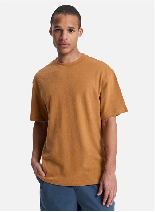 Quiksilver Tee-shirts Bayi homme marron