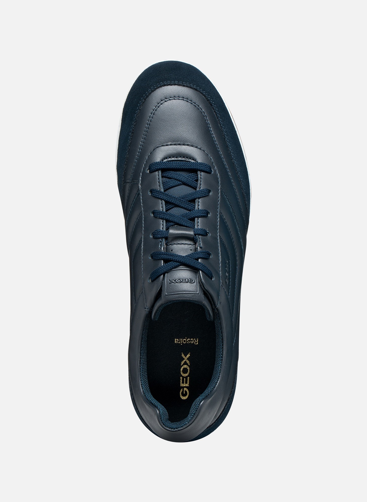 Baskets basses RENAN MAN homme bleu Geox Baskets basses RENAN MAN homme bleu Bleu