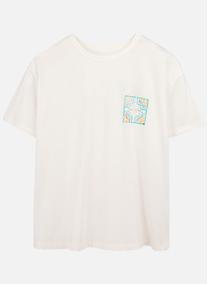 Tee-shirts T-shirt coton col rond droit - 31018046D femme blanc Teddy Smith Tee-shirts T-shirt coton col rond droit - 31018046D femme blanc Blanc