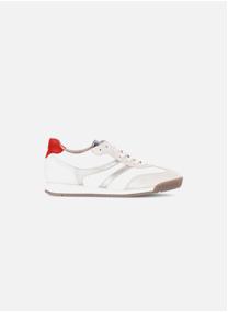 Baskets basses 83.430 femme blanc Gabor Baskets basses 83.430 femme blanc Blanc