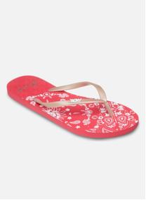 Tongs New Viva Printed femme noir