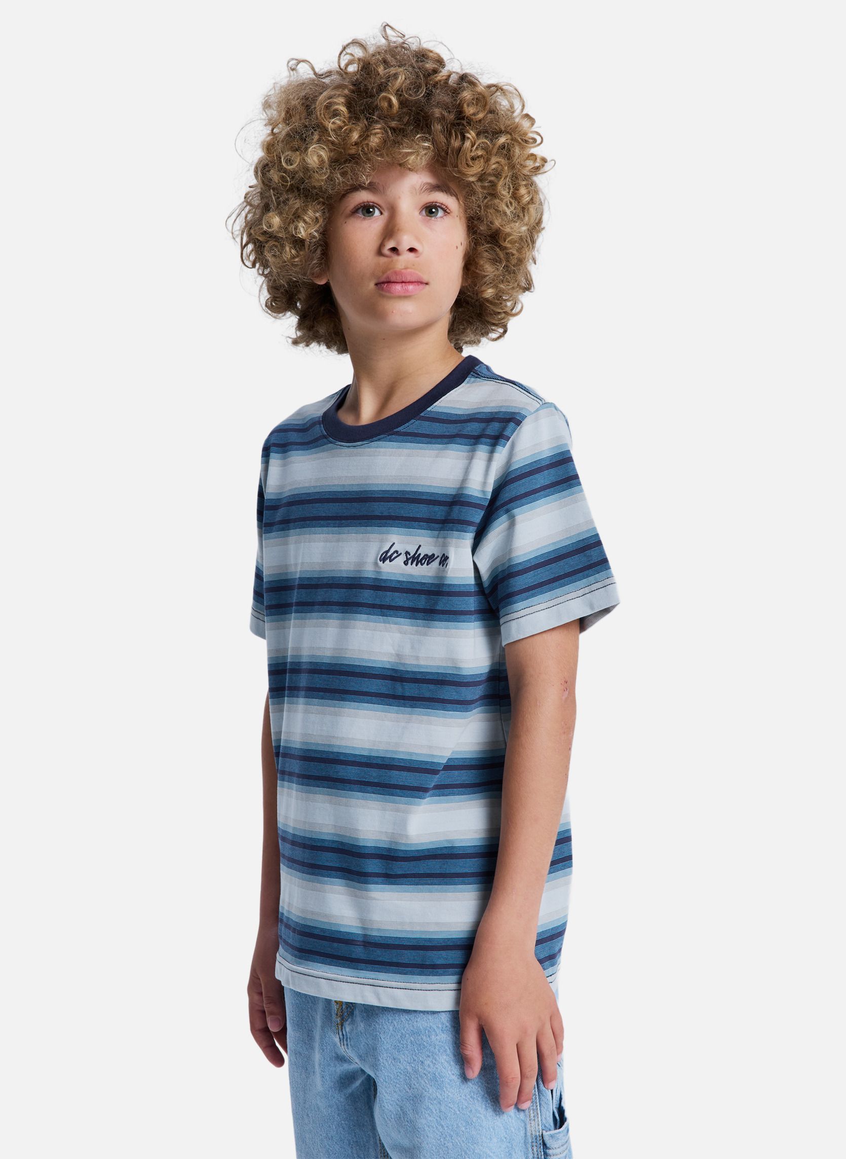 Tee-shirts Sheriff Stripe garçon bleu DC Shoes Tee-shirts Sheriff Stripe garçon bleu Bleu