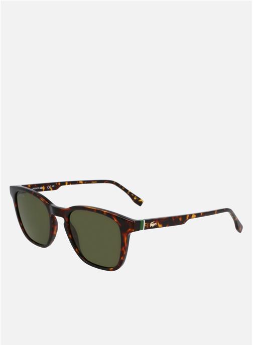 Lacoste Lunettes de soleil homme marron
