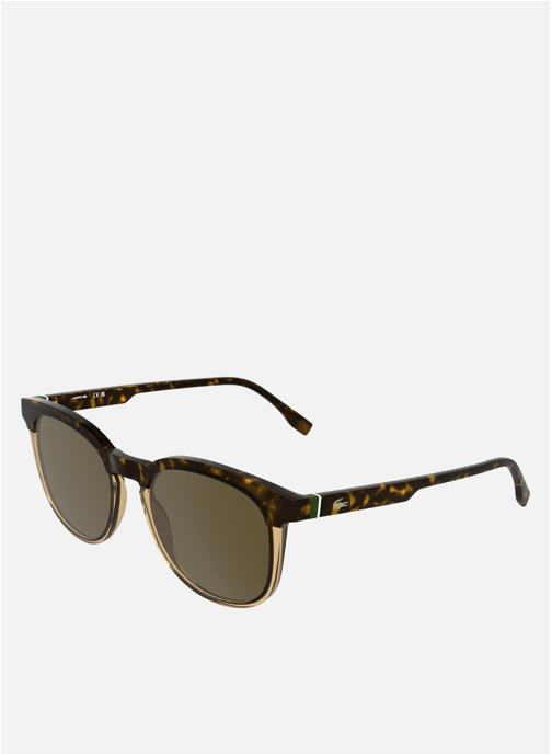 Lacoste Lunettes de soleil homme marron