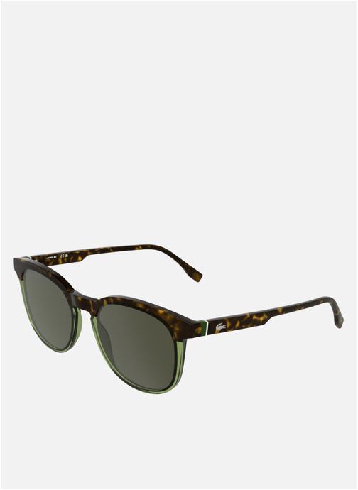 Lacoste Lunettes de soleil homme marron