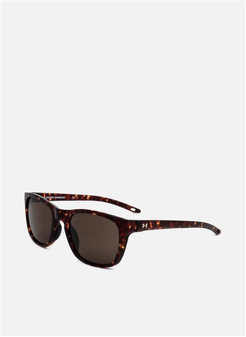 Under Armour Lunettes de soleil homme marron