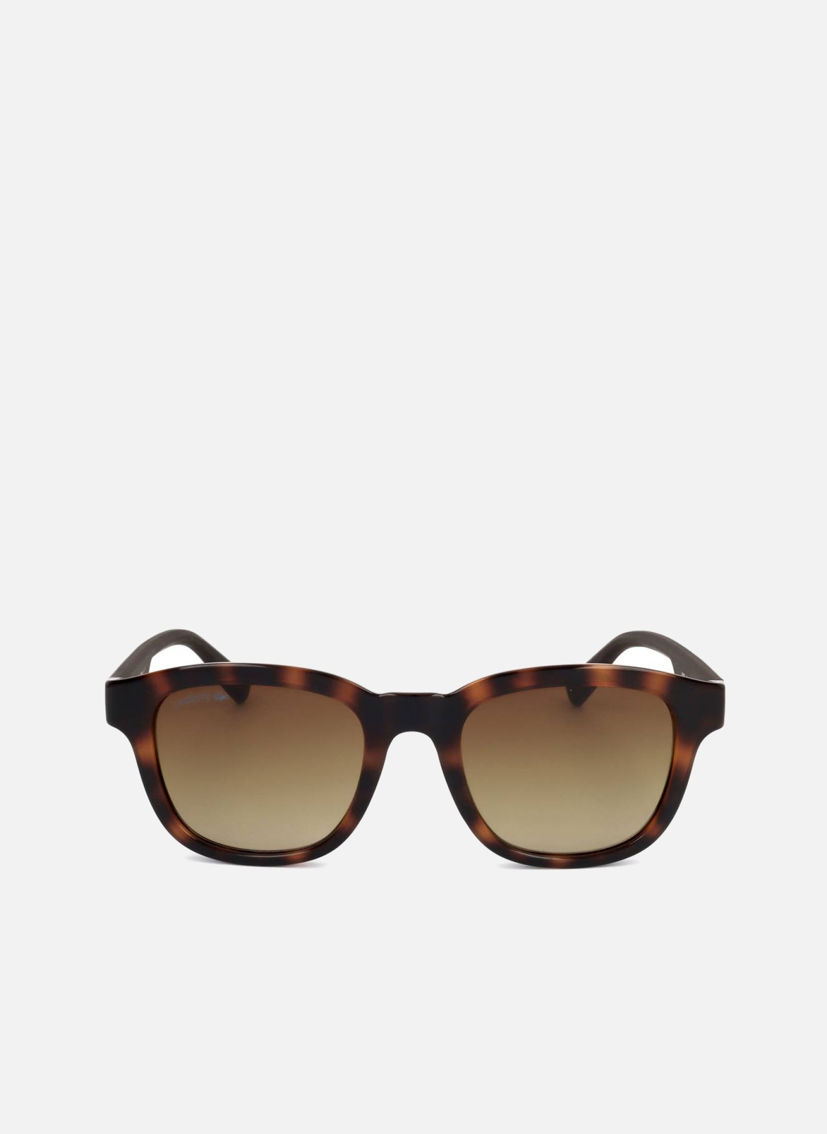 Lunettes de soleil homme marron Lacoste Lunettes de soleil homme marron Marron