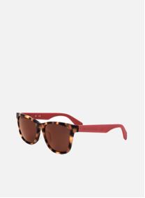 Lunettes de soleil homme marron