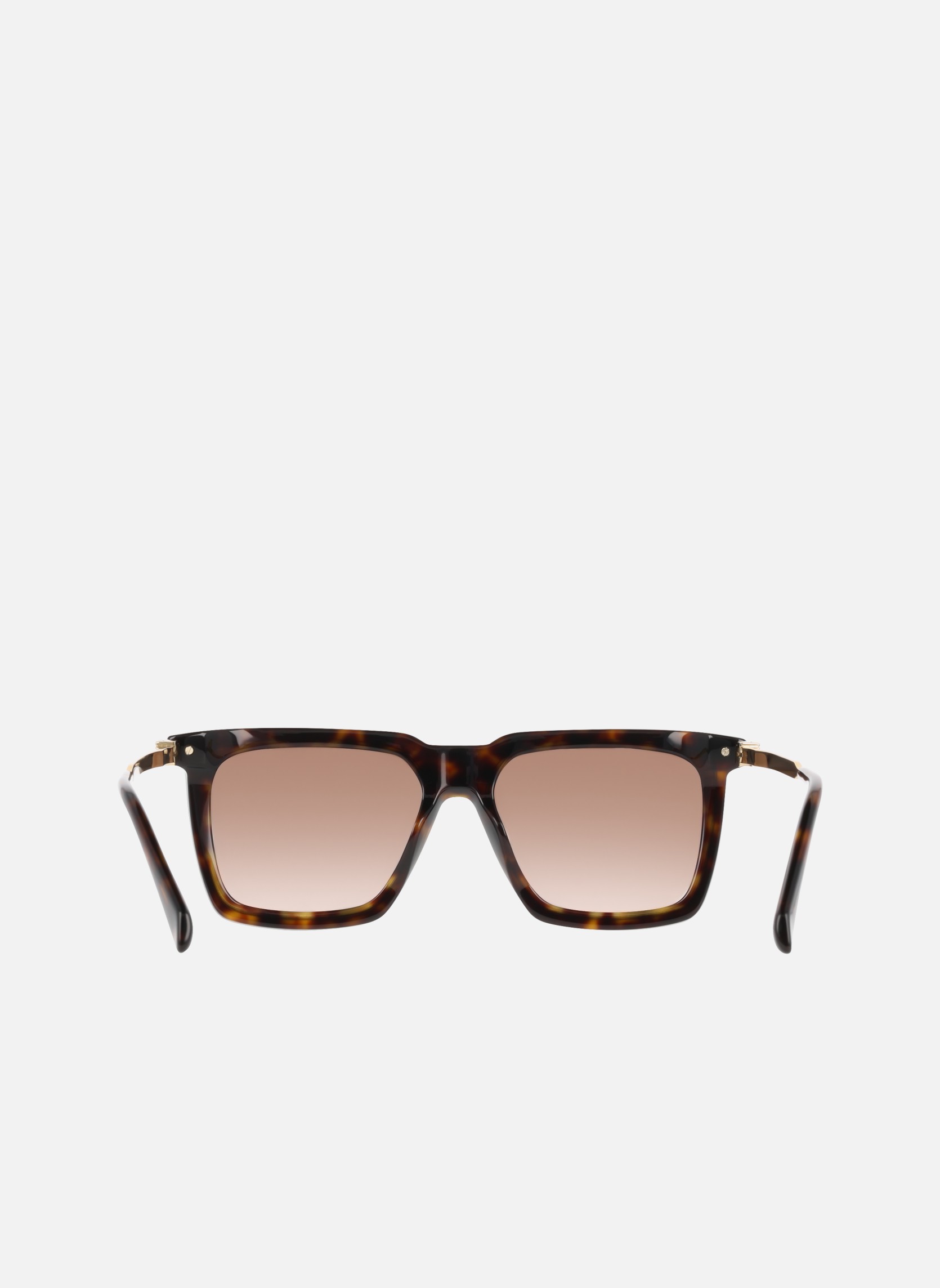 Lunettes de soleil homme marron Salvatore Ferragamo Lunettes de soleil homme marron Marron