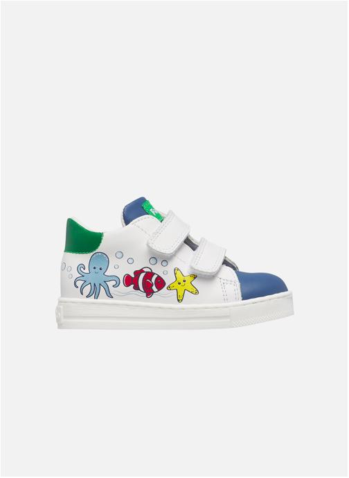Falcotto Baskets basses Sneakers PIMBLU VL Blanc-Bleu clair- garçon blanc