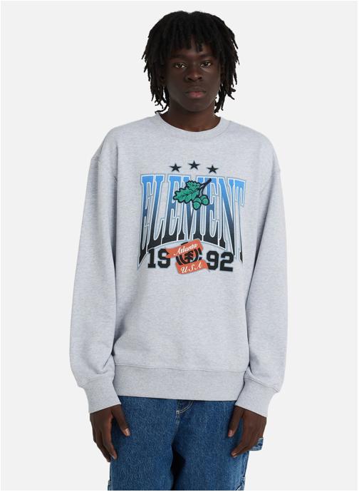 Element Sweats à capuche Stars Oak homme gris